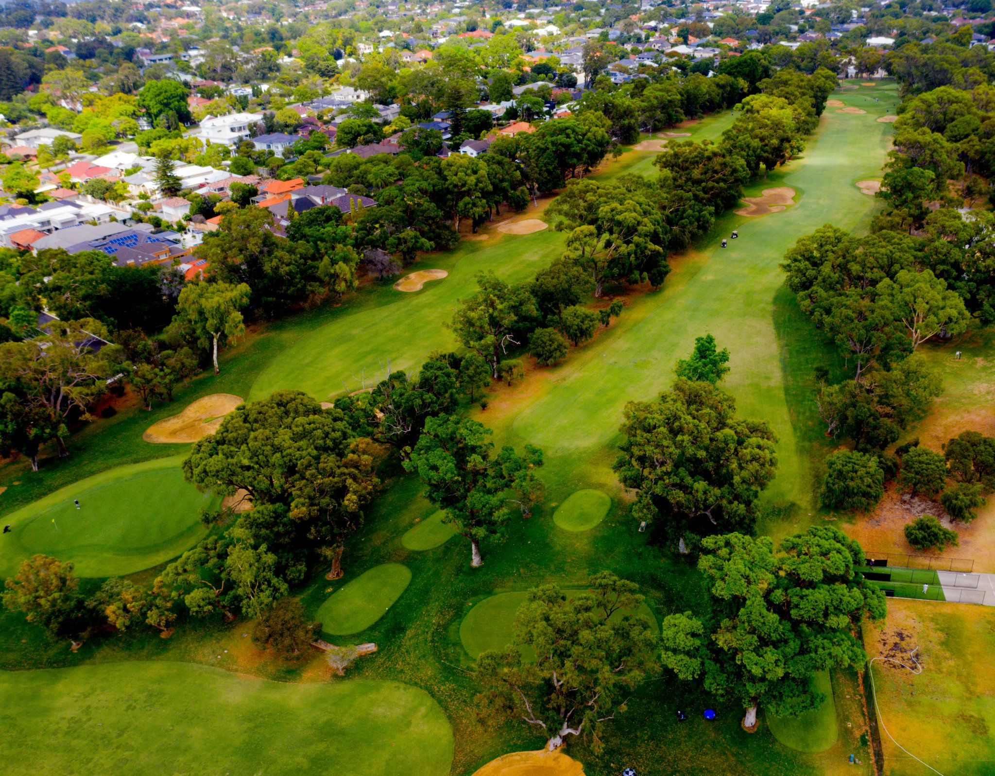 You are currently viewing Nedlands