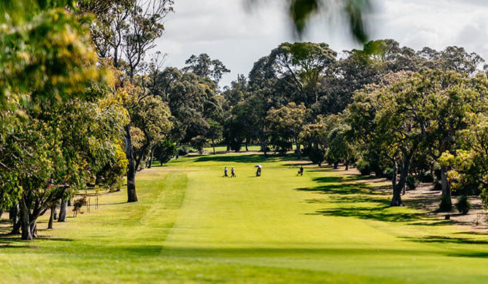 You are currently viewing Hamersley – SOCIAL GOLF – 18 Holes